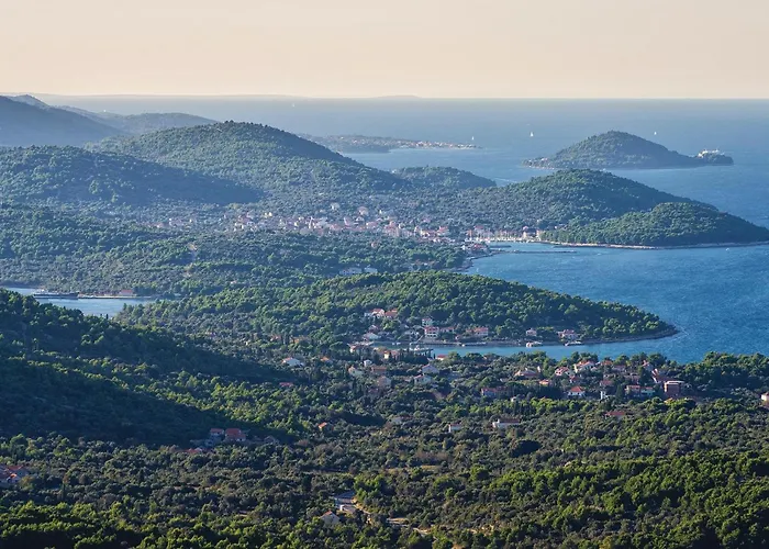 In With Sauna 펜션 Ždrelac